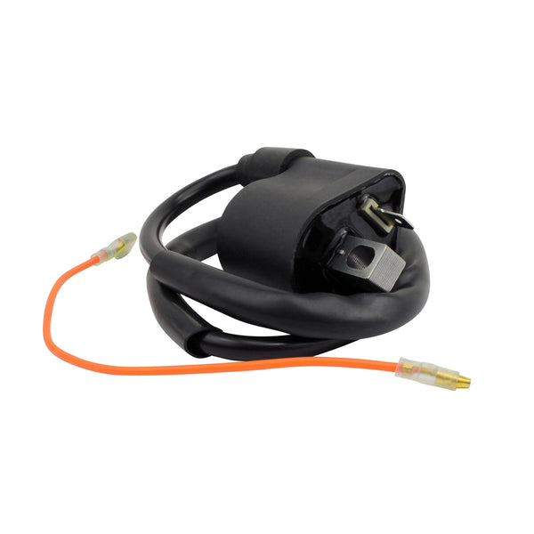 External Ignition Coil for Arctic Cat 150 | Honda ATC 250 | Suzuki