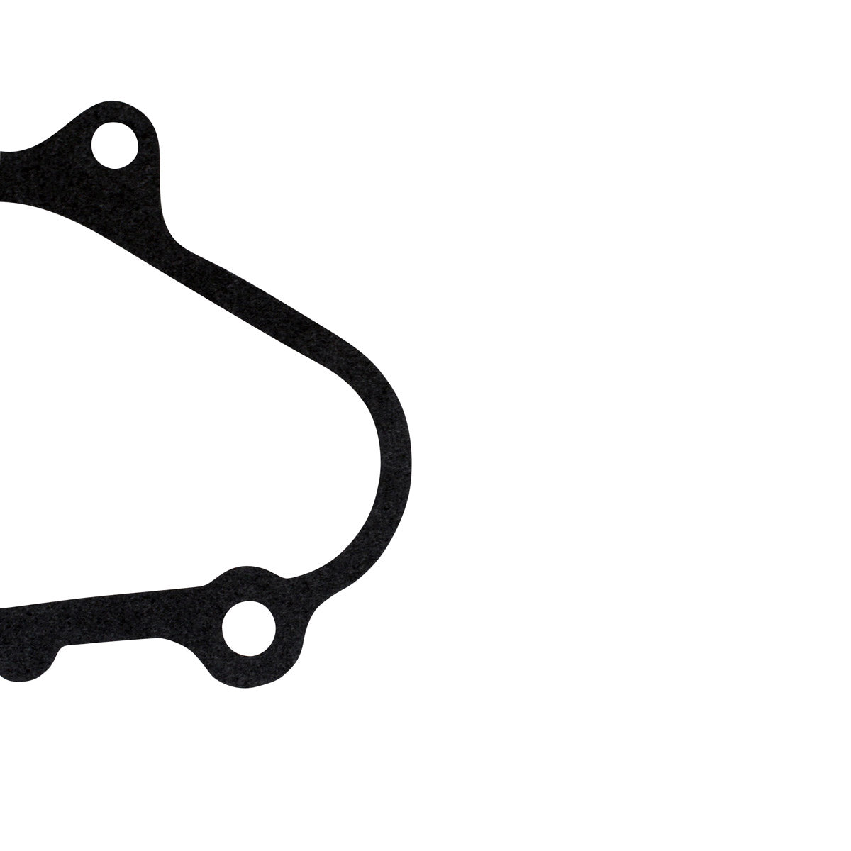 Joint d'étanchéité du couvert de magneto pour Yamaha YFM 660 R Raptor 2001-2005 | # 5LP-15455-00-00