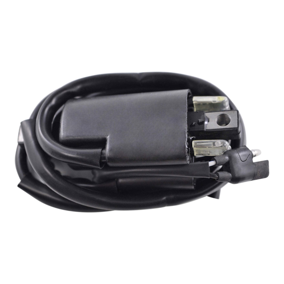 External Ignition Coil for Arctic Cat Jag 3000 | Ski-Doo Formula 583 | Lynx 6900 | Sea-Doo 720 GTI 1976-2020 | 278000383