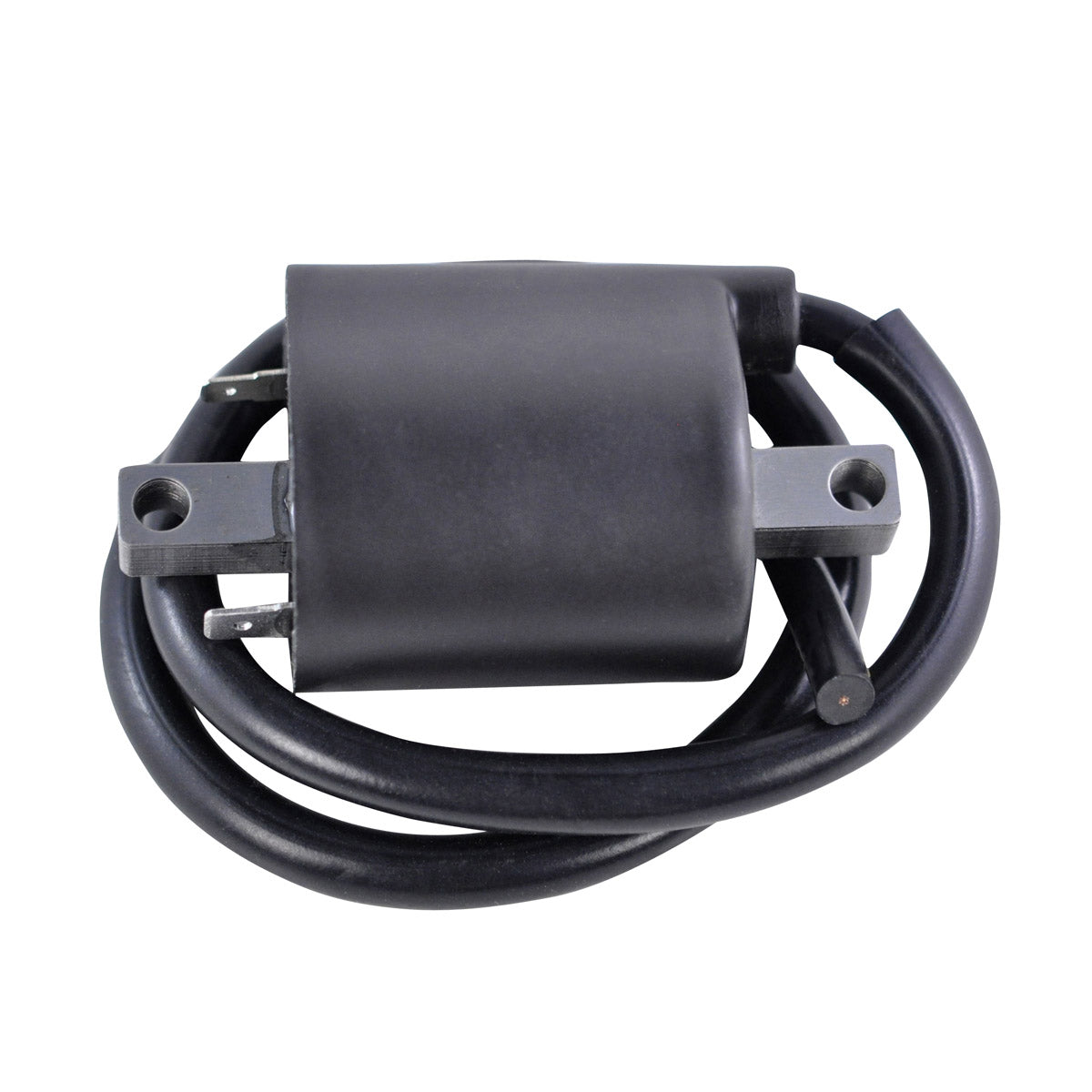 External Ignition Coil for Suzuki Yamaha Boulevard GZ Savage Intruder Royal V Star 250 650 1100 1300 1400 1500 1986-2019