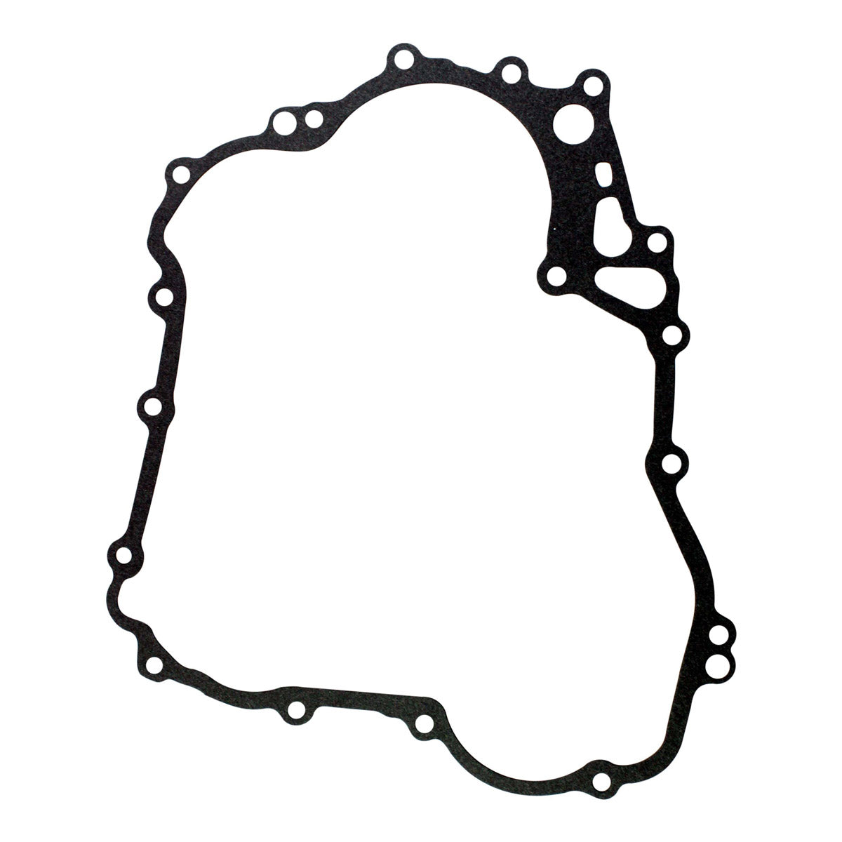Kit Stator + Flywheel + Gasket + 3 Cap Coil for Ski-Doo Expedition Grand Touring GSX MXZ MX ZX Renegade 1200 2009-2016