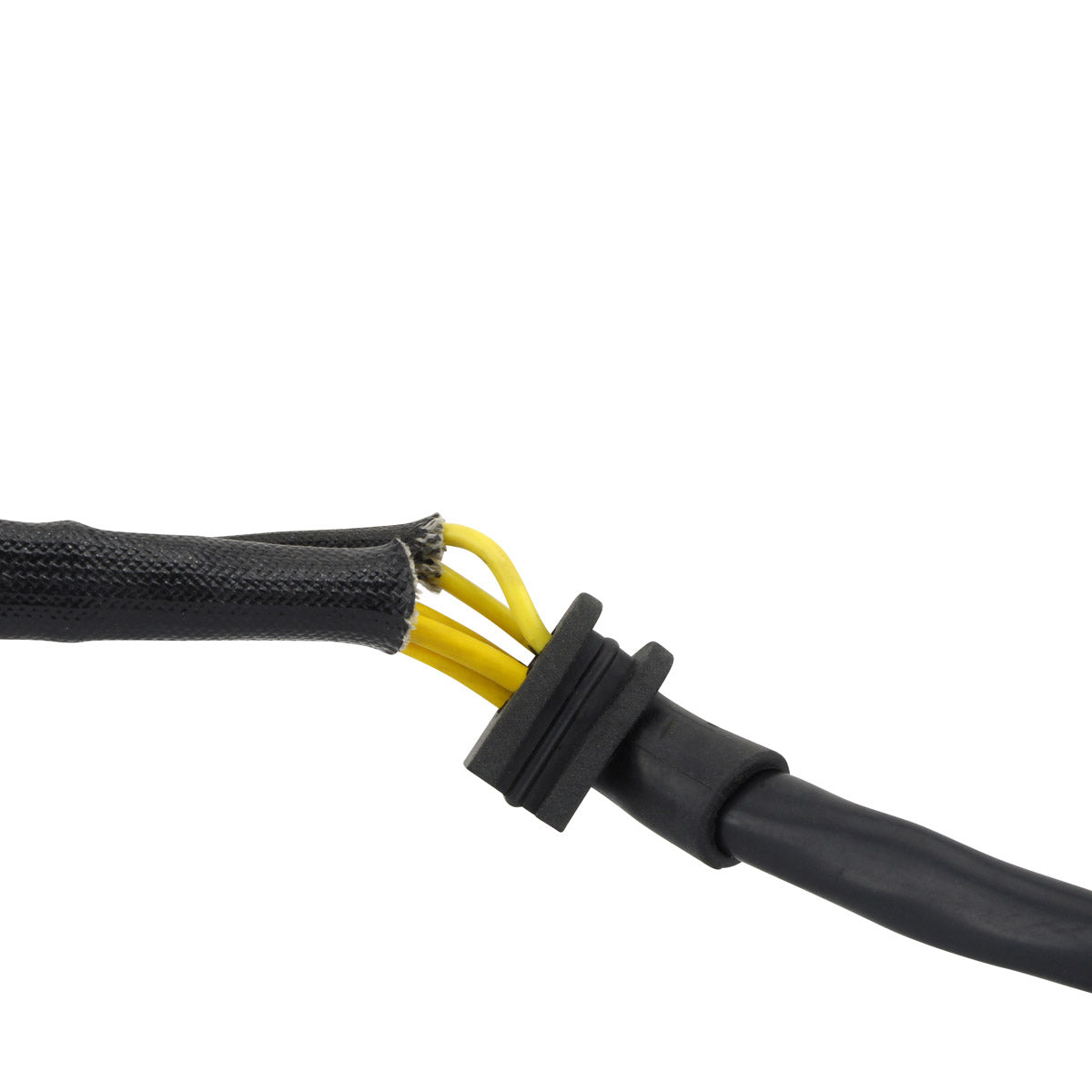 Generator Stator for Honda CRF 1000 Africa Twin Automatic 2016-2019 | OEM Repl.# 31120-MJP-G81 | CRF1000D CRF1000D2