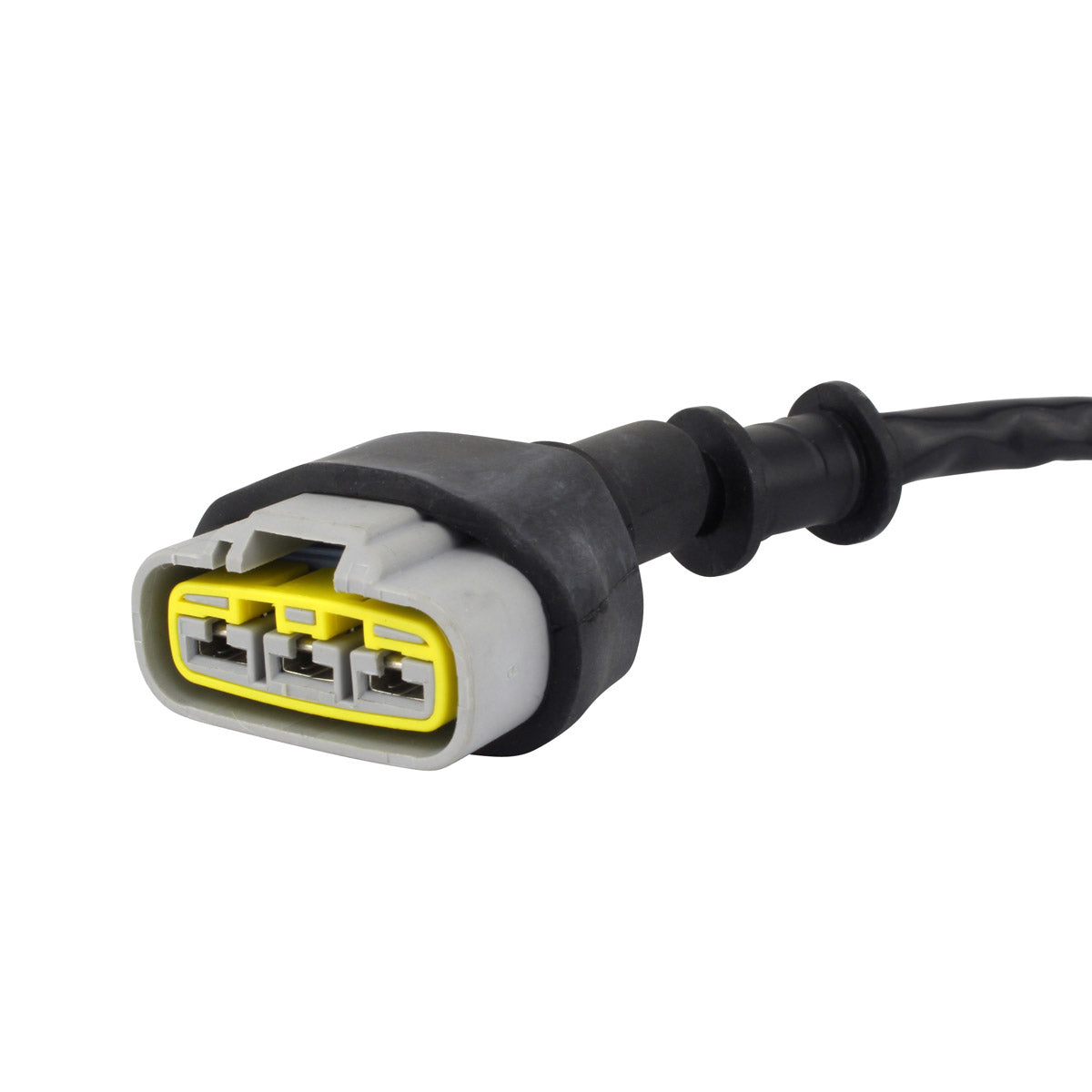 Generator Stator for Honda CRF 1000 Africa Twin Manual 2016-2019 | OEM Repl.# 31120-MJP-G51 CRF1000A CRF1000A2